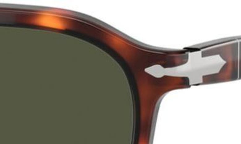 Shop Persol 55mm Polarized Square Sunglasses In Havana
