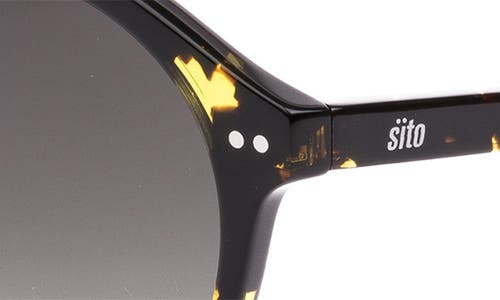 Shop Sito Shades Dixon Polar 52mm Round Sunglasses In Lime Tort/horizon Grad Polar