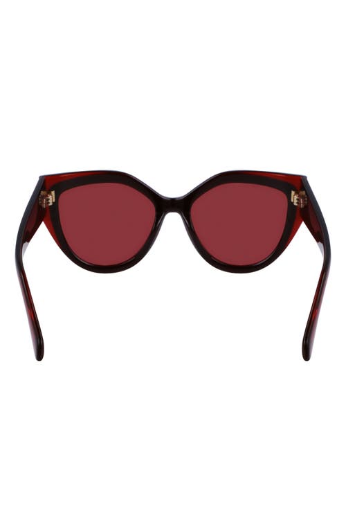 Shop Ferragamo Classic Logo 53mm Cat Eye Sunglasses In Transparent Burgundy/burgundy