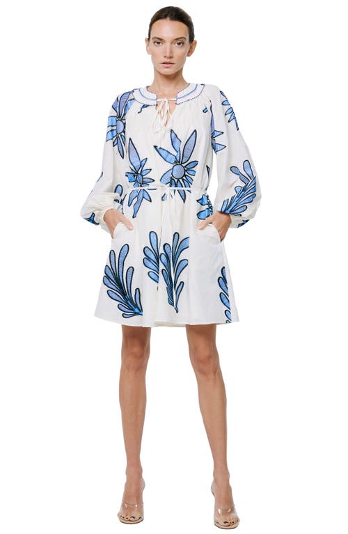 Shop Ciebon Viena Embroidered Long Sleeve Cotton Minidress In Stone/blue