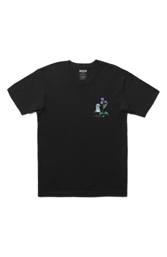 Shop Stance Pigeon Street Cotton Graphic T-shirt In Black