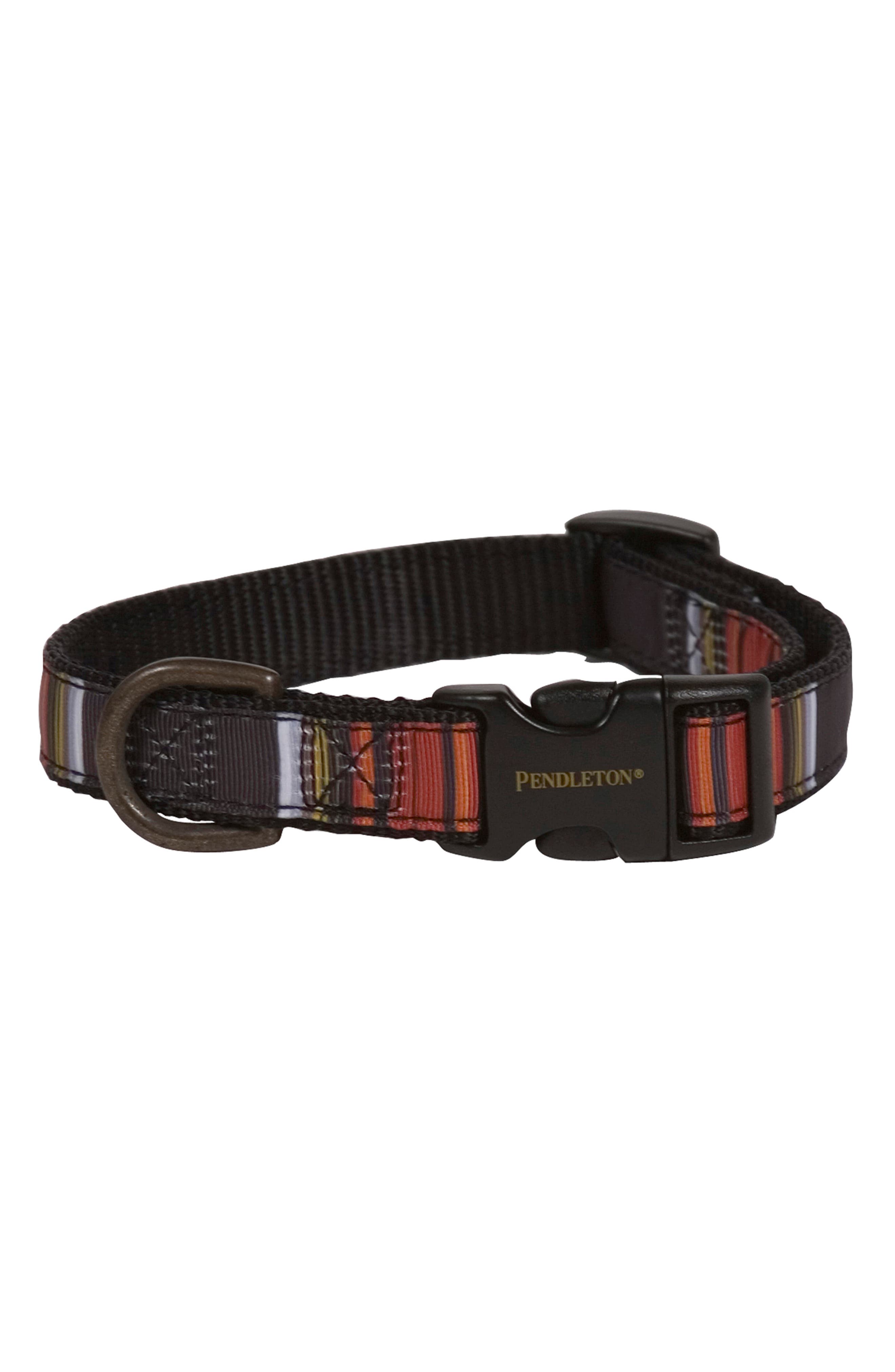 camp dog collar