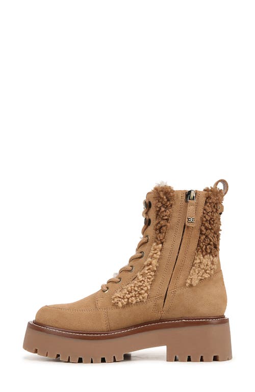Sam Edelman Elliot Combat Boot Golden Caramel Suede In Golden Caramel Multi