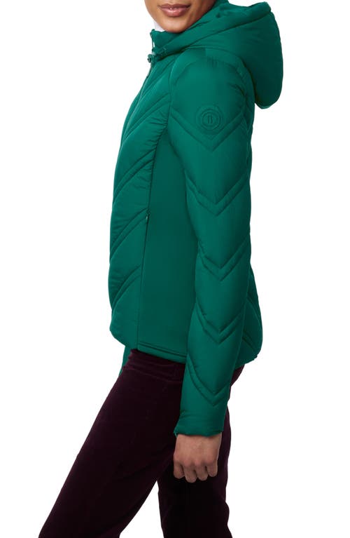 Shop Bernardo Hooded Puffer Jacket With Bib In Emerald Green