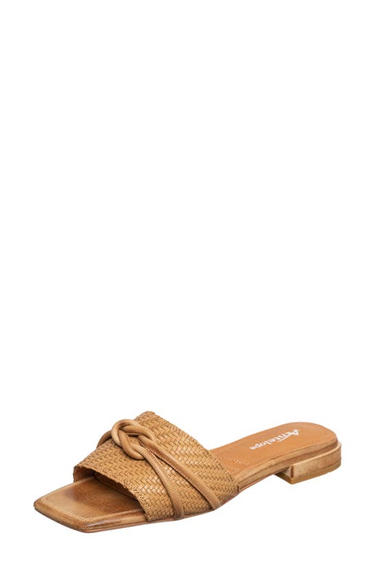 Shop Antelope Adanna Slide Sandal In Taupe Leather