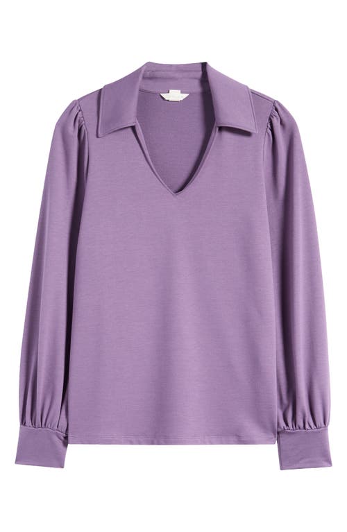 Shop Caslonr Caslon(r) Long Sleeve Johnny Collar Polo In Purple Montana