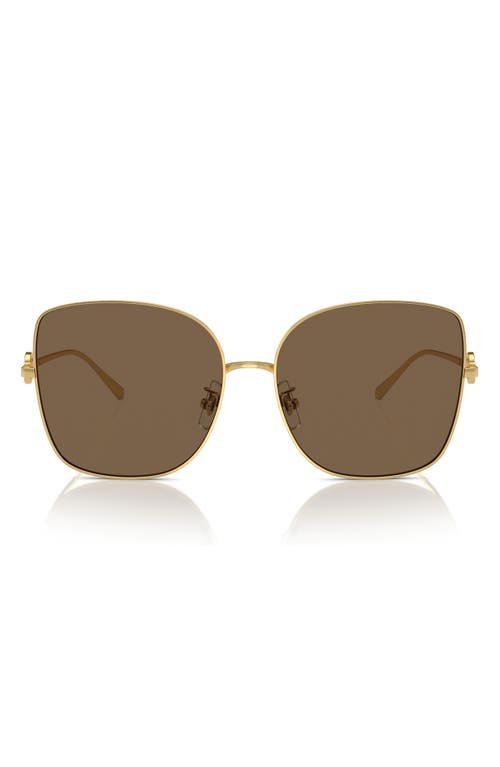 60mm Oversize Butterfly Sunglasses in Gold/Gold