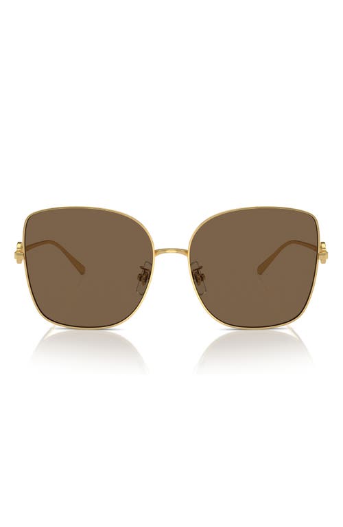 Shop Tory Burch 60mm Oversize Butterfly Sunglasses In Gold/gold