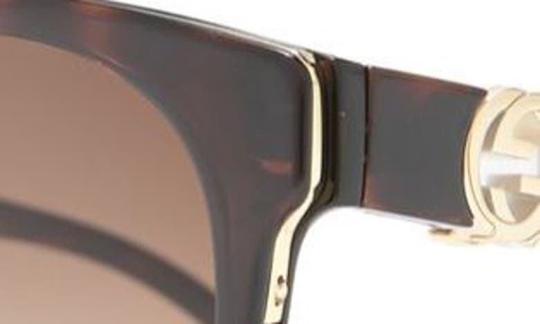 Gucci 56mm Round Sunglasses In Havana Brown