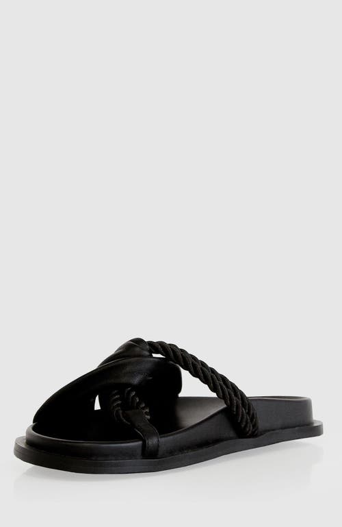 Belle & Bloom Whitehaven Slide In Black