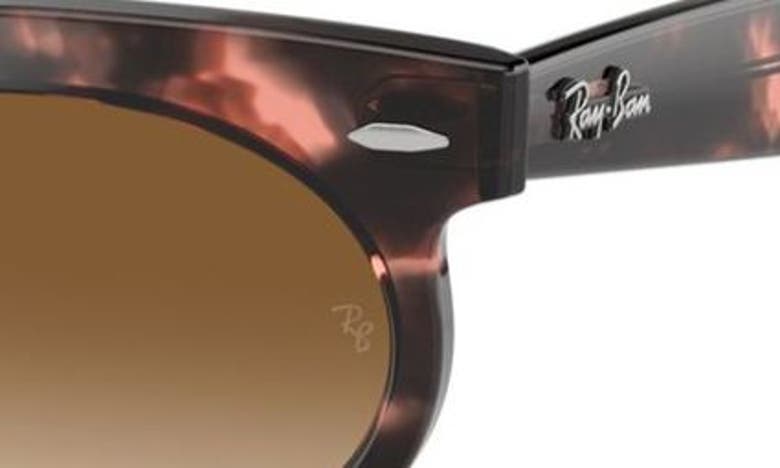 Ray Ban Wayfarer Oval Sunglasses Pink Havana Frame Brown Lenses 53-22 In Havana Pink