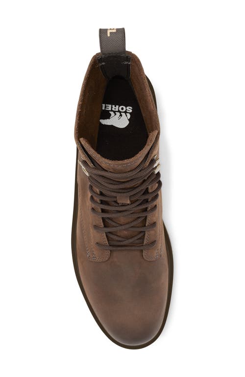 Sorel Hi-line Waterproof Lace-up Boot In Fallen/velvet Tan
