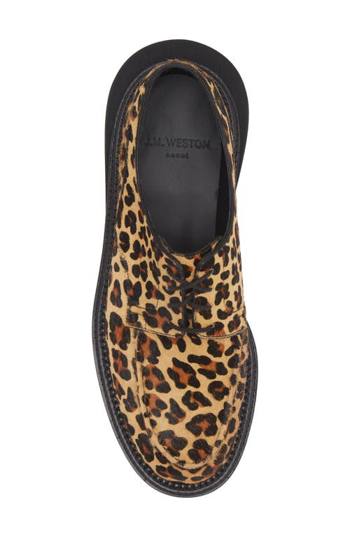 Shop Jm Weston X Sacai Genuine Calf Hair Golf Derby In Leopard Calf Hair