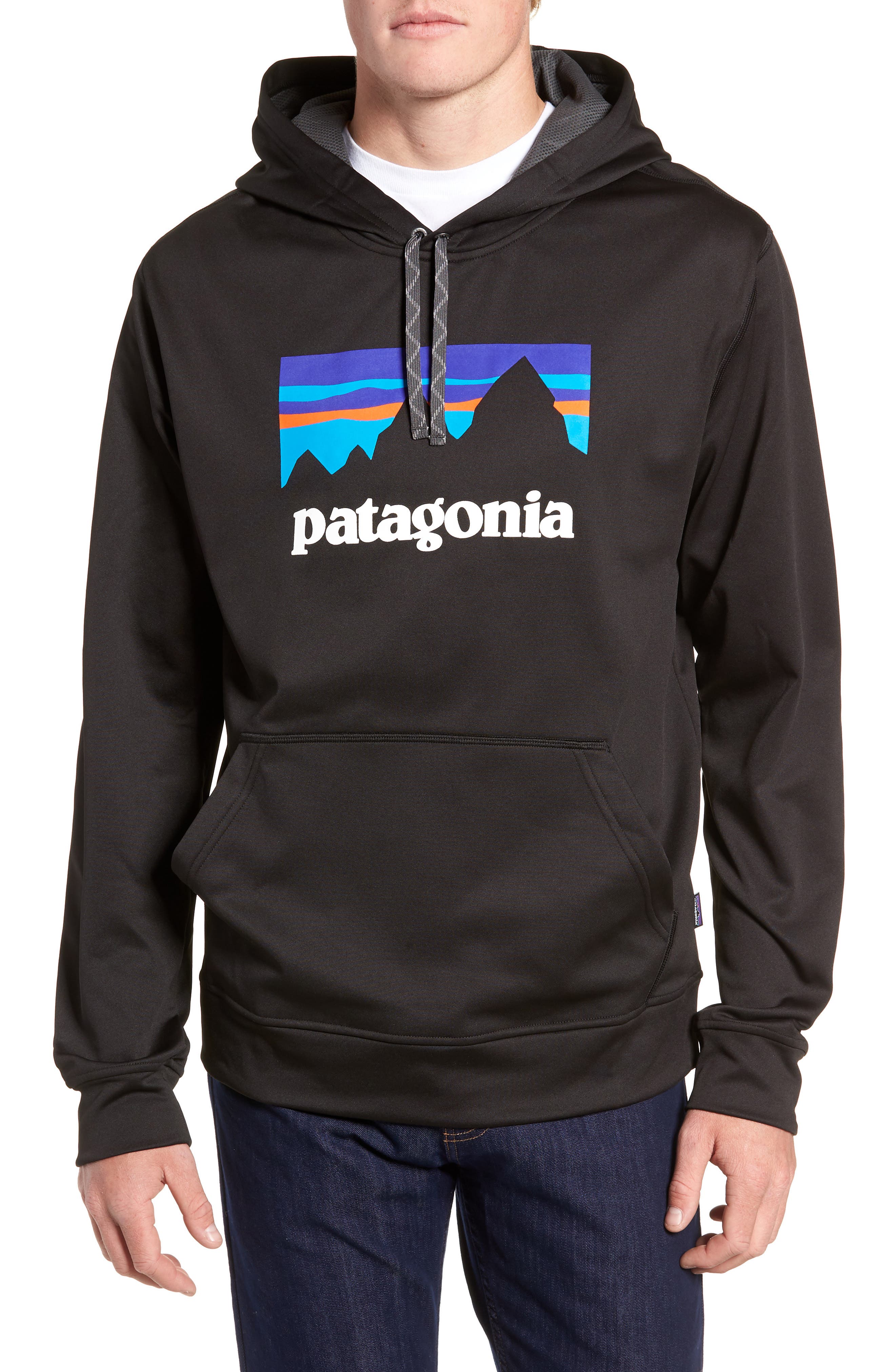 patagonia shop sticker hoodie