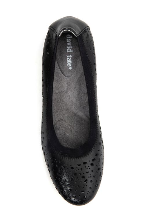 David Tate Laser Cut Ballet Flat In Black Calf