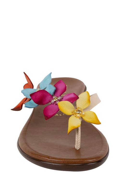 Italian Shoemakers Xolani Floral Flip Flop In Bright Multi