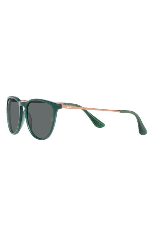 Shop Ray Ban Ray-ban 50mm Jr Round Sunglasses In Opal Green