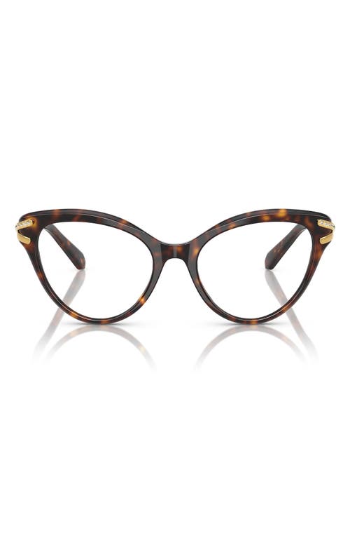 Swarovski 53mm Cat Eye Optical Glasses In Havana
