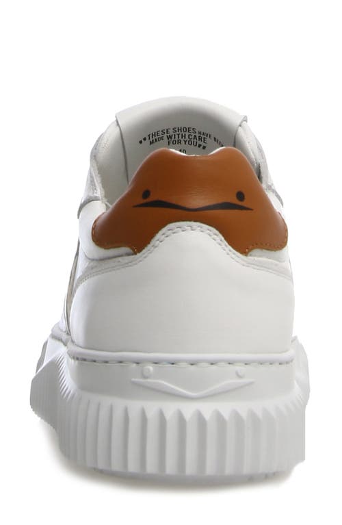 Shop Voile Blanche Lipari Sneaker In White/tobacco