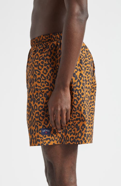 Shop Noah Leopard Print Nylon Swim Trunks