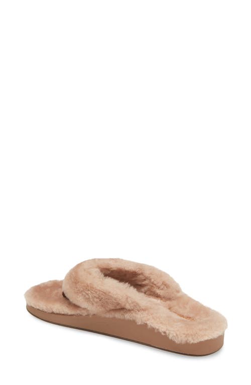 Olukai Kipea Heu Genuine Shearling Slide Sandal In Tan/tan