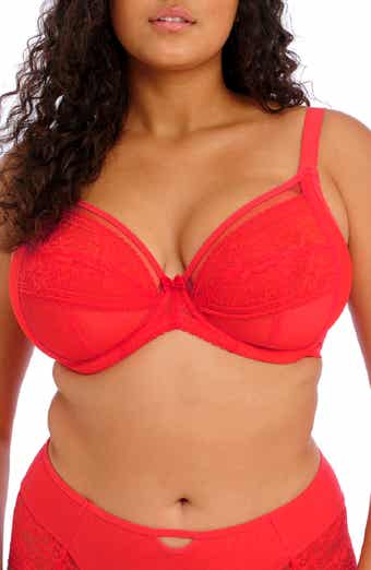 Elomi Womens Sachi Strappy Underwire Plunge Bra : : Clothing,  Shoes & Accessories