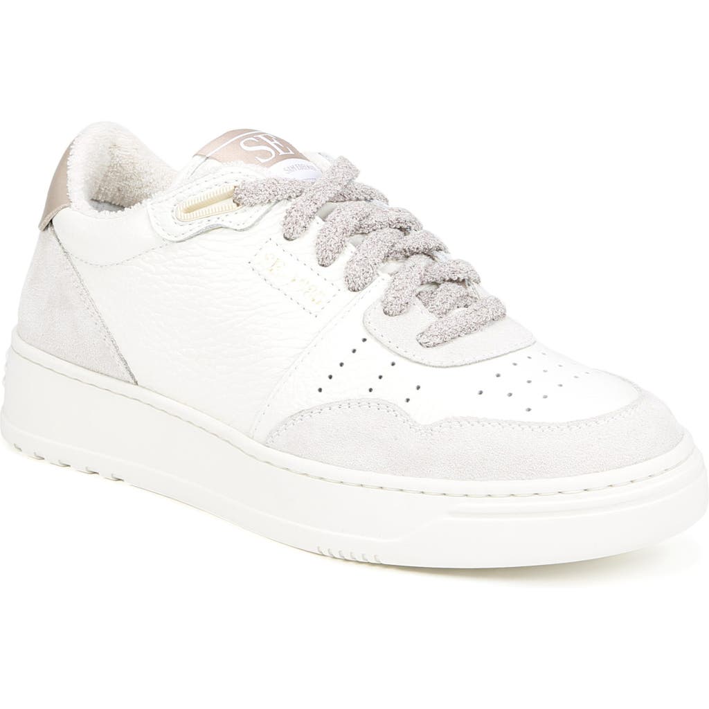 Shop Sam Edelman Mitsuha Sneaker In White/meringue