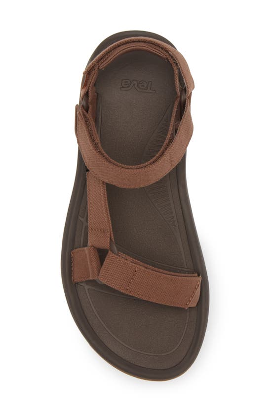 Shop Teva Hurricane Xlt 2 Hemp Sandal In Acorn/ Chocolate Brown