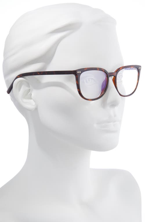 Kate Spade New York Albi 52mm Blue Light Blocking Reading Glasses In Havana/clear