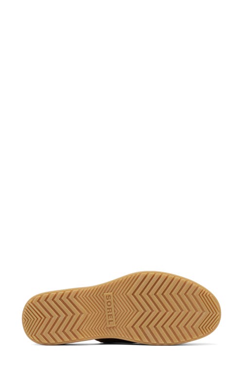 Sorel Dayspring Platform Slide Sandal In Velvet Tan/chalk