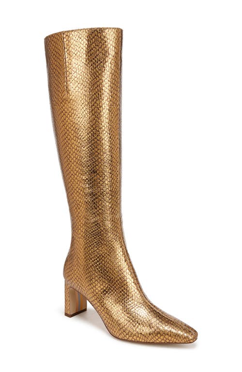 Shop Sam Edelman Sylvia Knee High Boot In Medallion Gold