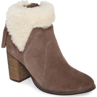Band Of Gypsies Helena Genuine Shearling Cuff Bootie, Grey
