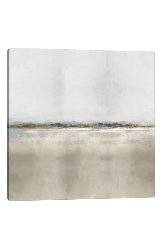 Icanvas Whisper Ii By Rachel Springer Canvas Wall Art In Multi