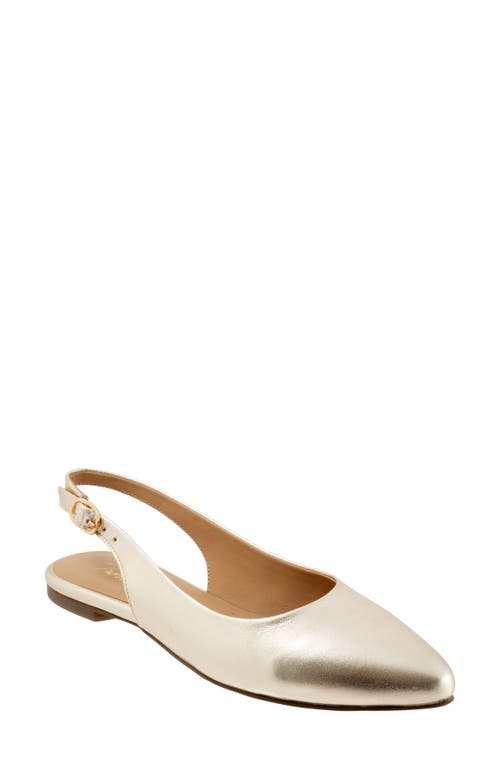 Trotters Evelyn Pointed Toe Slingback Flat In Champagne