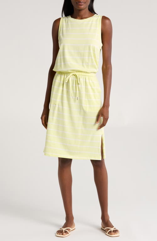 C & California Ira Sleeveless Cotton Blend Drawstring Belt Dress Green Stripe at Nordstrom,