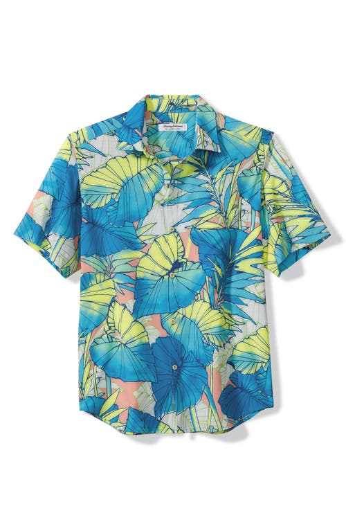 Tommy Bahama Coast Nuevo Fronds Short Sleeve Button-Up Shirt Julius at Nordstrom,