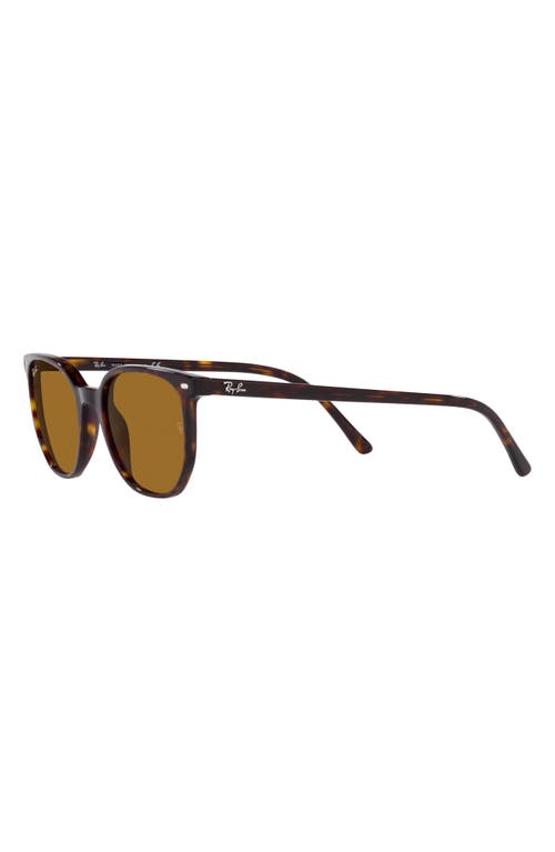 Shop Ray Ban Ray-ban 52mm Square Sunglasses In Havana/brown