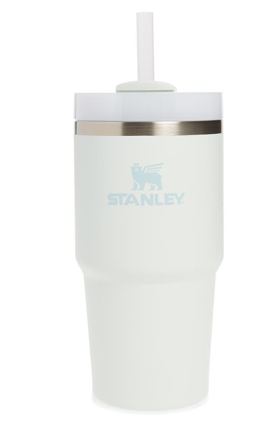 Shop Stanley The Quencher H2.0 Flowstate™ 20-ounce Tumbler In Mist