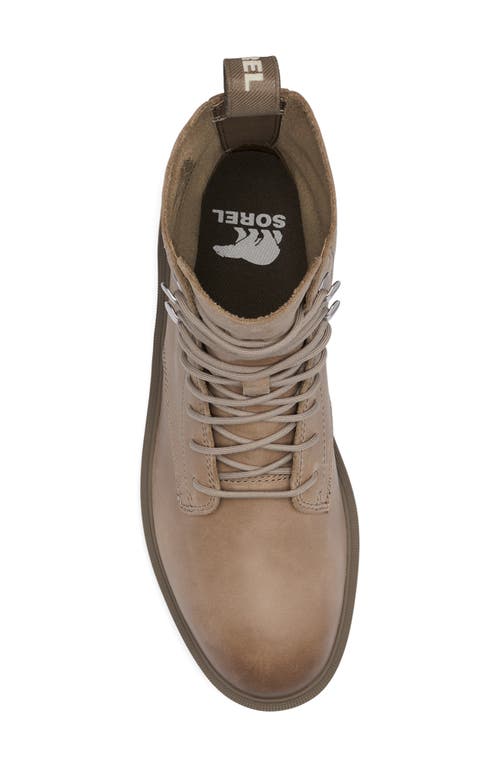 Shop Sorel Hi-line Platform Combat Boot In Omega Taupe/major