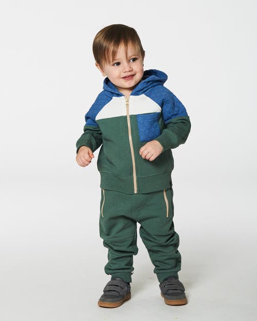 Shop Deux Par Deux Little Boy's Full Zip Colorblock Hooded Fleece Sweatshirt Forest Green In Dark Forest