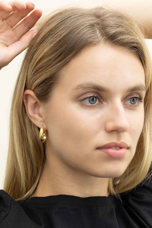 Oradina Women's 14k Yellow Gold High Society Oval Hoops In Yellow Gold