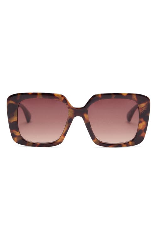 Shop Mango Square Sunglasses In Chocolate