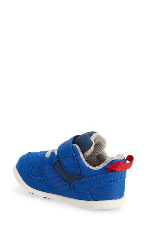 Shop Tsukihoshi Kids' Racer Sneaker In Royal/red