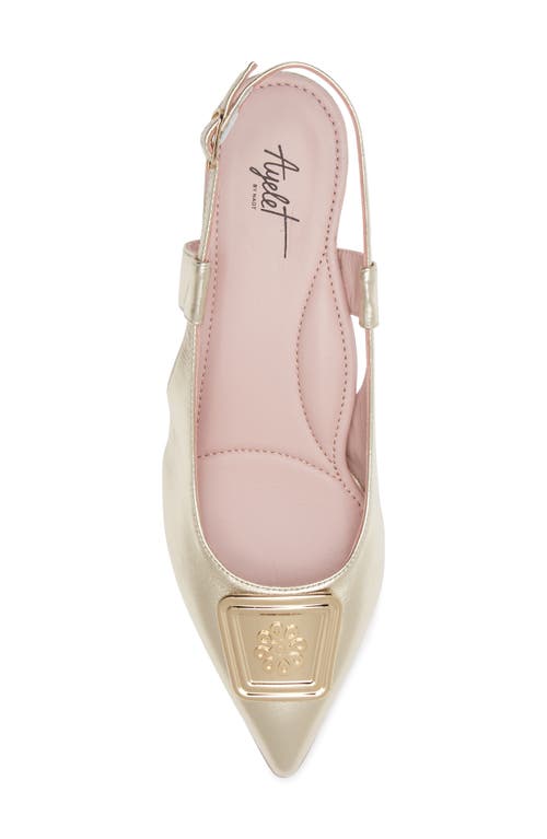 Naot Amber Pointed Toe Slingback Pump In Gold Metallic Leather