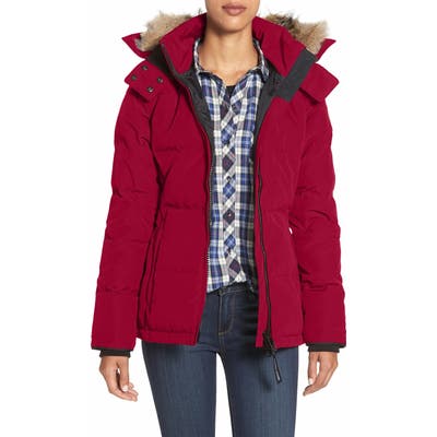 Canada Goose