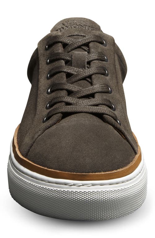 Allen Edmonds Flynn Leather Sneaker In Grey