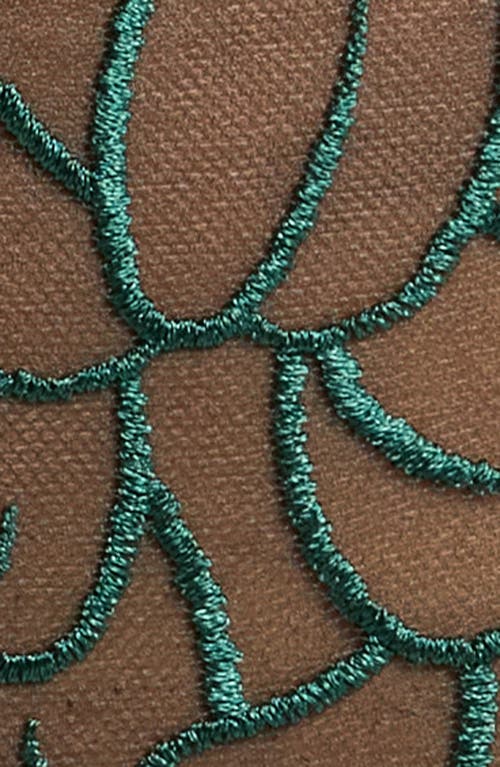 BLUEBELLA BLUEBELLA LAUREL EMBROIDERED MESH BRIEFS