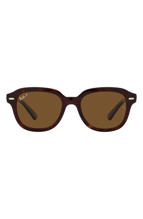 Ray-Ban Erik 53mm Polarized Square Sunglasses in Havana at Nordstrom