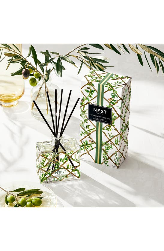Nest New York Santorini Olive & Citron Specialty Reed Diffuser, 5.9 Oz.