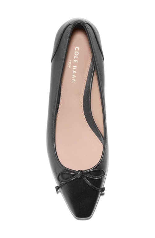 Shop Cole Haan Chlea Pointed Toe Ballet Flat In Black Leather